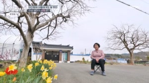 꽃놀이도 겁난다? 무릎 관절염을 잡아..