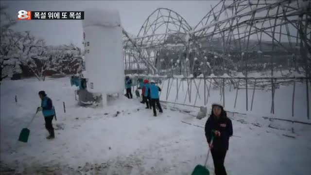 뉴스 썸네일