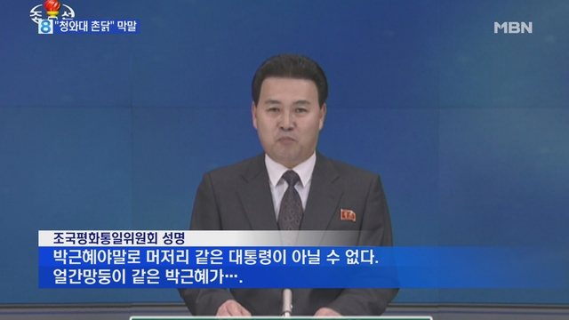 MBN 종합뉴스 - 북한, 박 대통령 향해 막말 비난… 청와대 촌닭