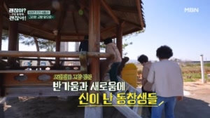 썸네일 이미지