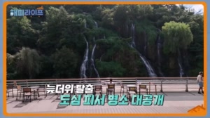 썸네일 이미지