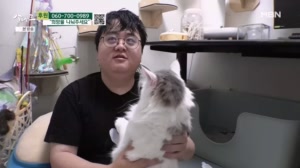썸네일 이미지