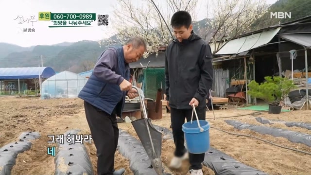 하교 후 밭일을 돕는 손자