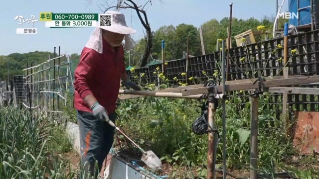 텃밭에서 농작물을 기르는 남편