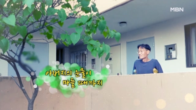 소나무 706회 재방송 다시보기