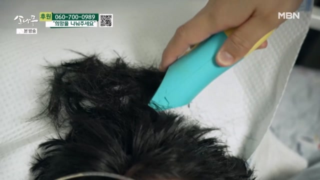 함께 아들의 머리를 손질해 주는 부모