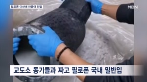 썸네일 이미지
