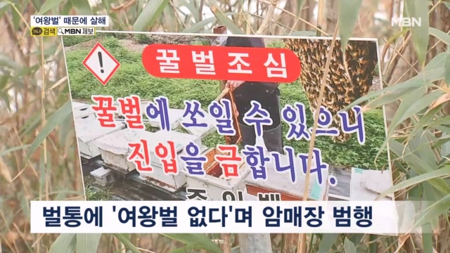 뉴스 썸네일