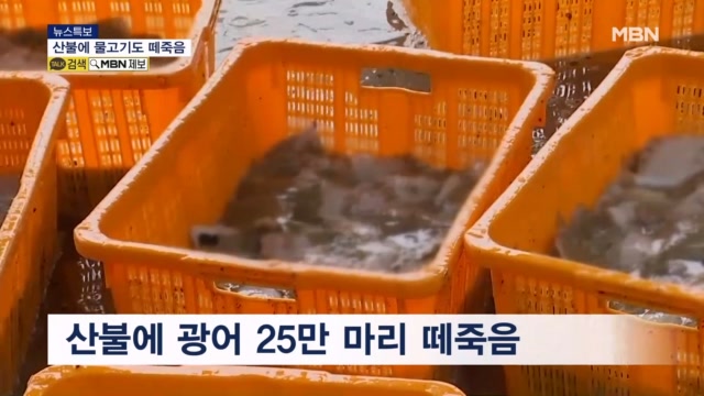 뉴스 썸네일