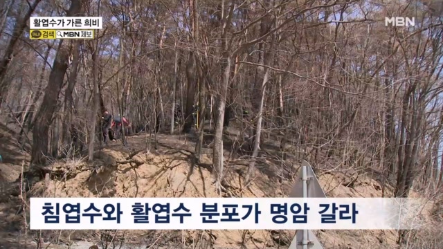 뉴스 썸네일