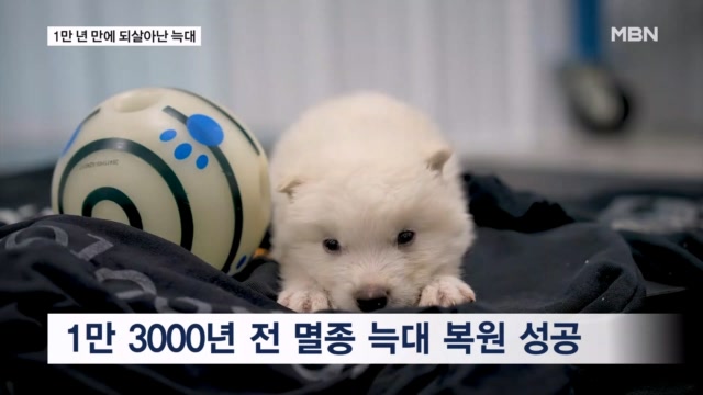 뉴스 썸네일