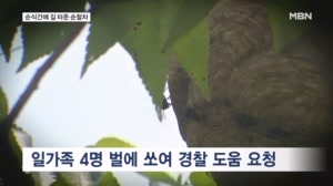 일가족이 벌에 쏘였는데 꽉 막힌 도로…길 터준 순찰차