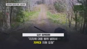 곰 습격에 장관 회의까지 한 일본…각국 곰 습격 주의보 잇따라