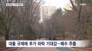 "가격 낮춰도 매수자들 망설여요" 과천 등 펄펄 끓던 준강남도 꺾였다