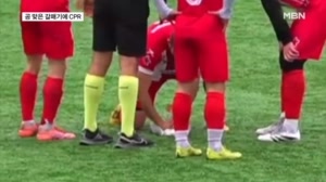 [오늘의 장면] 갈매기야 미안해