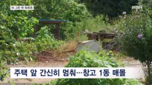 썸네일 이미지