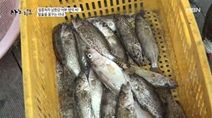 썸네일 이미지