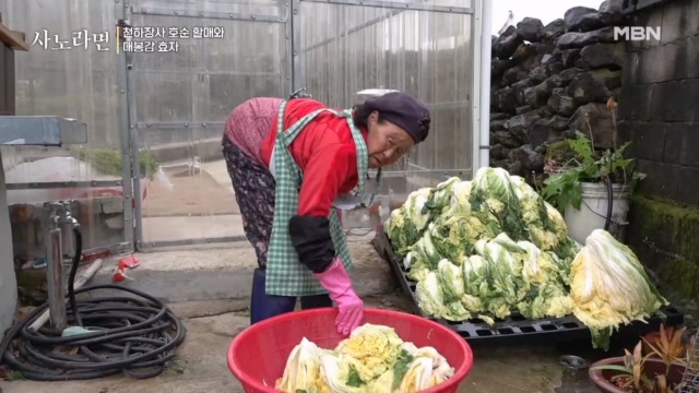 김장 품앗이 나선 호순 할매에게 걸려온 한 통의 전화!