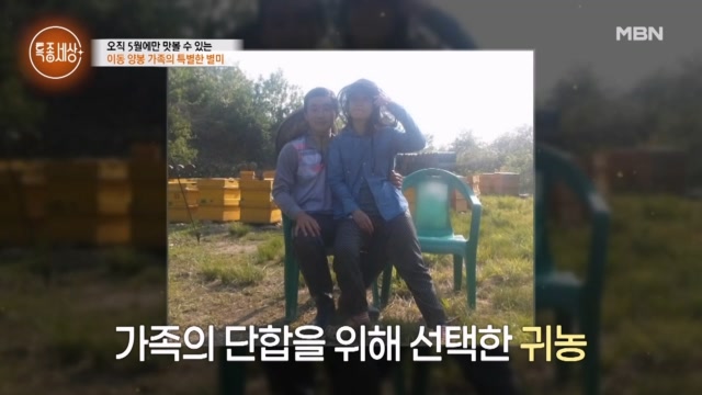 “꿀은 하늘이 주는 선물이에요.” 이동 양봉을 하며 배우는 것들