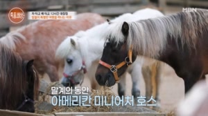 미니말과 여행을 떠나는 이유!