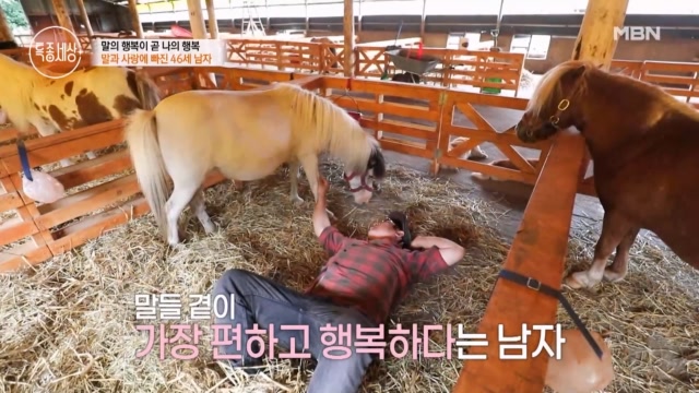 사람보다 말이 좋아요~