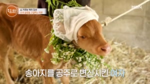썸네일 이미지