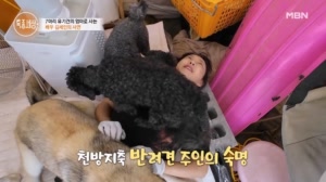 썸네일 이미지