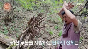 썸네일 이미지