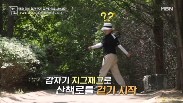  OOO 걷기 가 혈관 건강 비결이다?