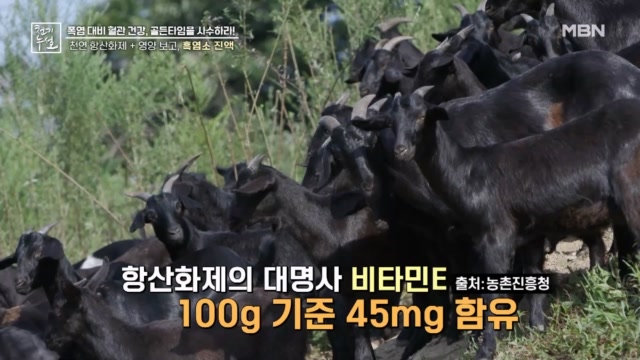 천연 항산화제라 불리는 흑OO 진액?