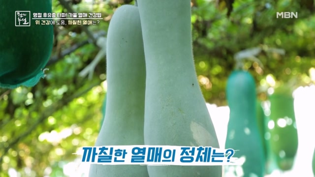 위 건강에 도움주는 까칠한 열매는?