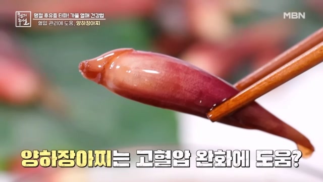 고혈압 맞춤 식재료, 양하 활용법은?