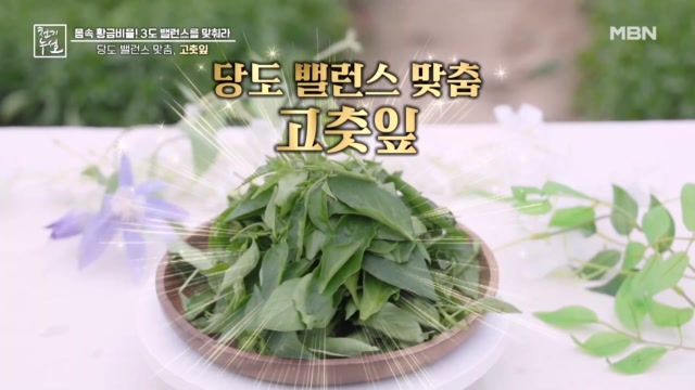 당도 밸런스 맞춤, 고춧잎