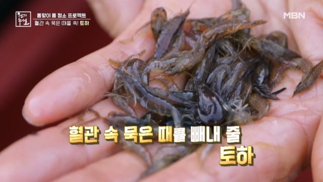 혈관 속 묵은 때를 쏙! 토하