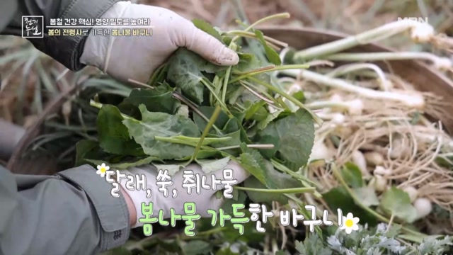 봄의 전령사로 가득한 봄나물 바구니