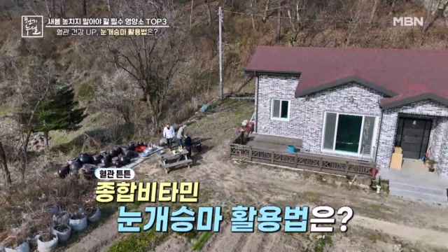 혈관 건강 UP, 눈개승마 활용법은?