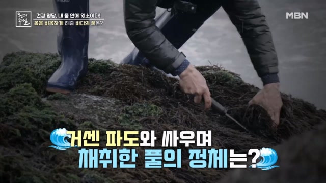 몸을 비옥하게 해줄 바다의 풀은?