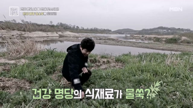 몸속 염증 타파의 주역 물쑥