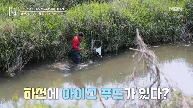 하천에서 찾는 체열 감소 위한 식재료