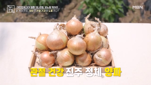 관절 건강에 도움 주는 흙 속의 진주, 양파