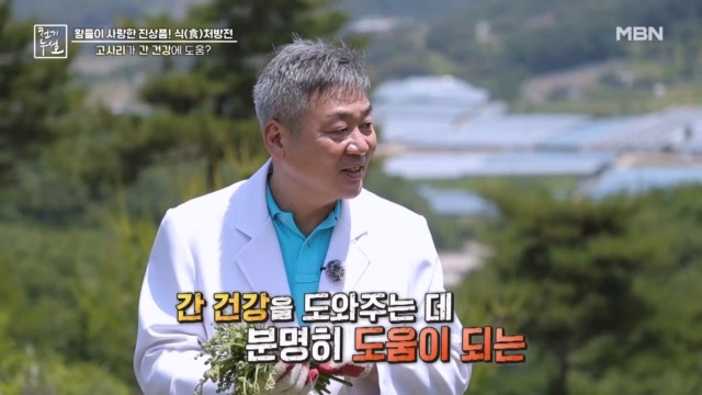 간 건강에 도움 되는 고사리