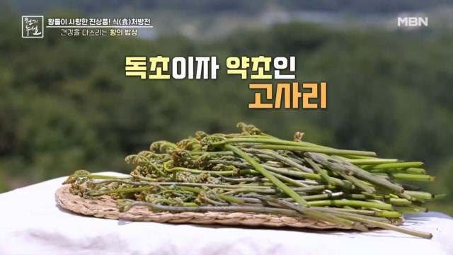 간 건강을 지켜 줄 고사리