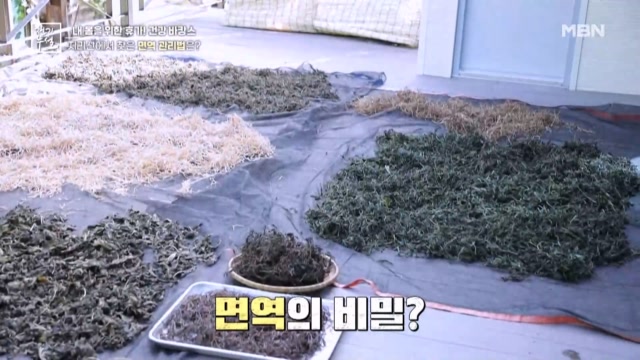 지리산에서 찾은 면역 관리법은?