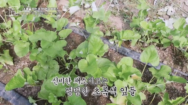 묵나물을 잇는 두번째 식재료의 정체는?