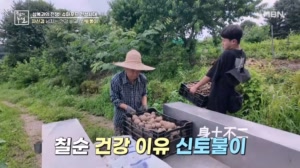 썸네일 이미지