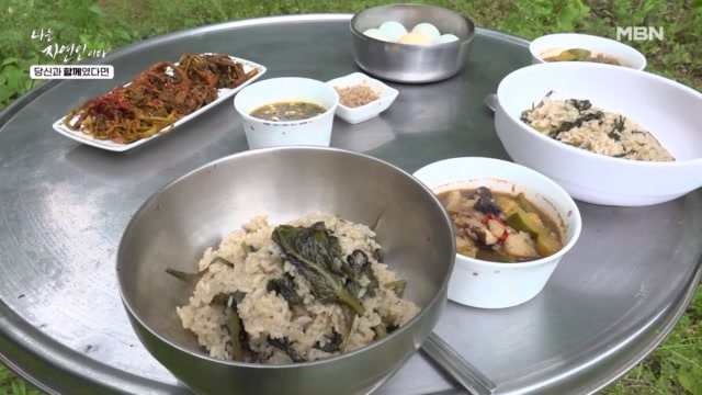 <자연 밥상> 100가지 약초가 들어간 소금 등장? 약초 밥상 끝판왕