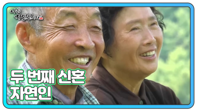이번주 예고편