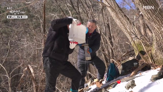 상큼하게 터져볼래~? 탄산수처럼 새뜻한 고랭지 고로쇠 수액!!