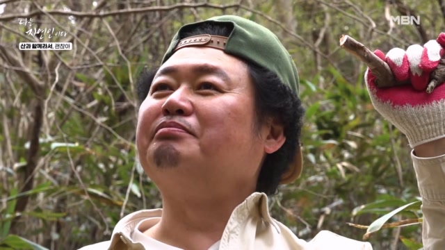 두릅 똑! 따고 다래 수액 맛보고~ 자연인과 일석이조 산책하기♪