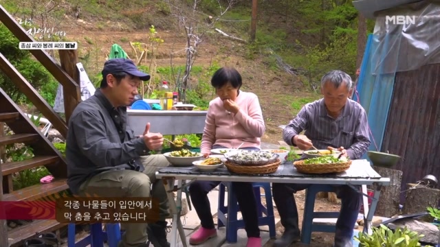 <자연밥상> 나물 종합 선물 세트 & 고소한 쑥버무리
